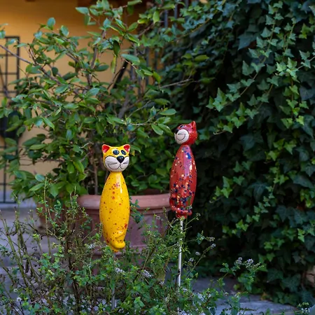 A Casa Di Tom Bed & Breakfast Sant'Ambrogio di Valpolicella