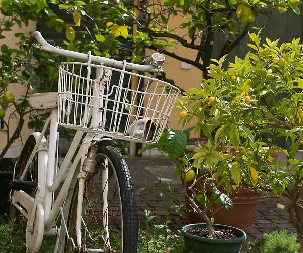 Bed & Breakfast A Casa Di Tom 4*